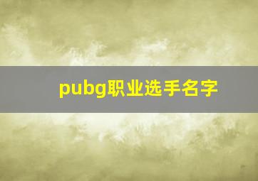 pubg职业选手名字