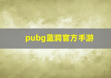 pubg蓝洞官方手游