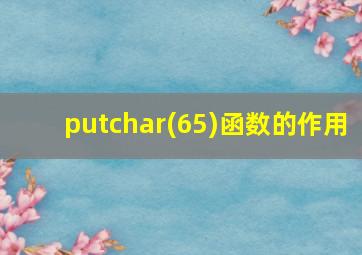 putchar(65)函数的作用