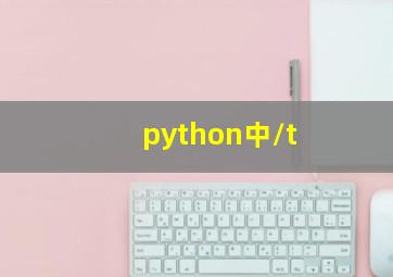 python中/t