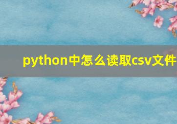 python中怎么读取csv文件