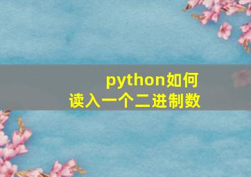 python如何读入一个二进制数