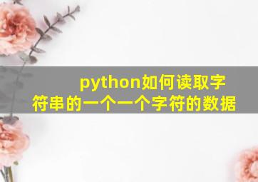 python如何读取字符串的一个一个字符的数据