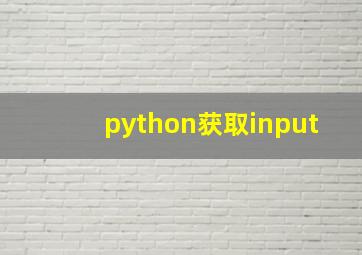 python获取input