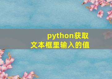 python获取文本框里输入的值