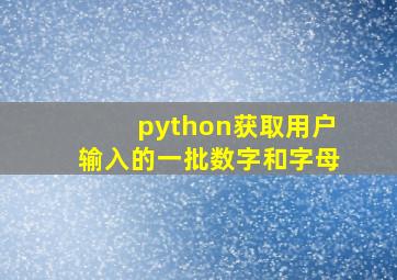 python获取用户输入的一批数字和字母