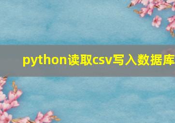 python读取csv写入数据库