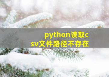 python读取csv文件路径不存在