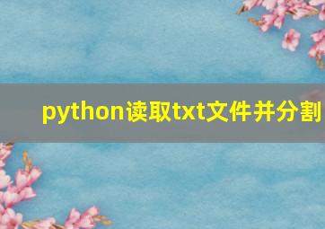 python读取txt文件并分割