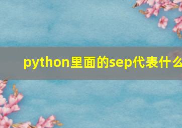 python里面的sep代表什么