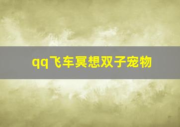 qq飞车冥想双子宠物