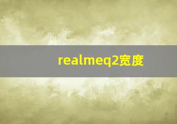 realmeq2宽度