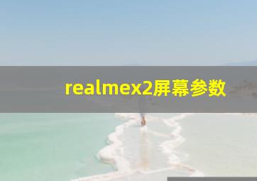 realmex2屏幕参数