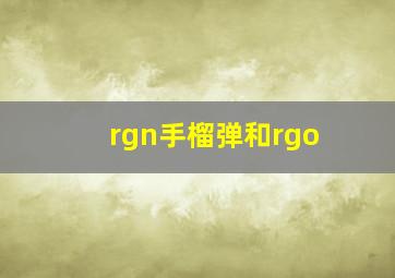 rgn手榴弹和rgo