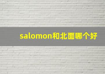 salomon和北面哪个好