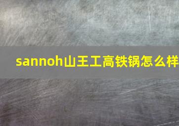 sannoh山王工高铁锅怎么样