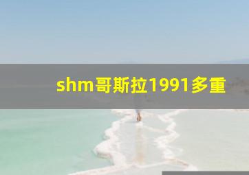 shm哥斯拉1991多重