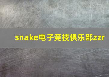 snake电子竞技俱乐部zzr