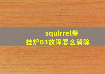 squirrel壁挂炉03故障怎么消除