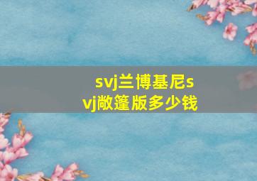 svj兰博基尼svj敞篷版多少钱