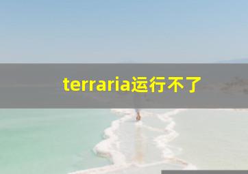 terraria运行不了