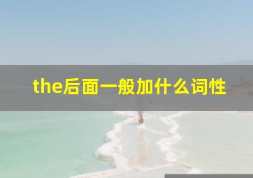 the后面一般加什么词性