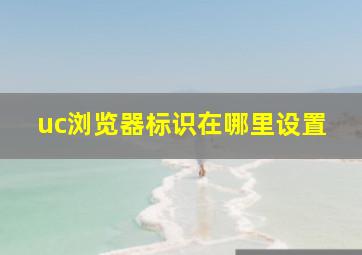 uc浏览器标识在哪里设置