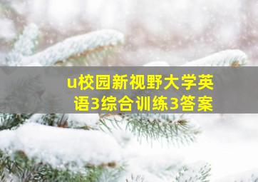 u校园新视野大学英语3综合训练3答案