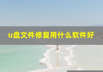 u盘文件修复用什么软件好