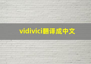 vidivici翻译成中文