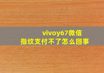 vivoy67微信指纹支付不了怎么回事