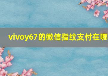 vivoy67的微信指纹支付在哪