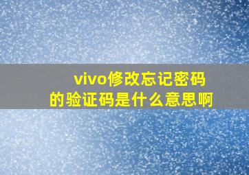 vivo修改忘记密码的验证码是什么意思啊