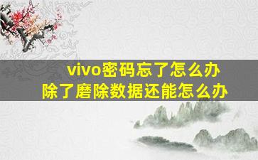 vivo密码忘了怎么办除了磨除数据还能怎么办