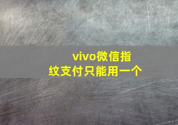 vivo微信指纹支付只能用一个