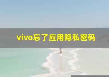 vivo忘了应用隐私密码