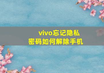 vivo忘记隐私密码如何解除手机