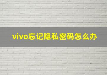 vivo忘记隐私密码怎么办