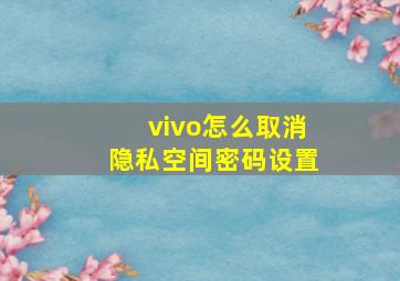 vivo怎么取消隐私空间密码设置