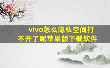 vivo怎么隐私空间打不开了呢苹果版下载软件