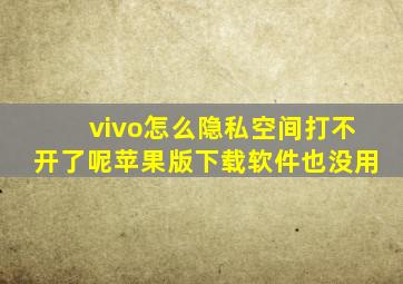 vivo怎么隐私空间打不开了呢苹果版下载软件也没用