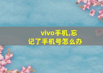 vivo手机,忘记了手机号怎么办