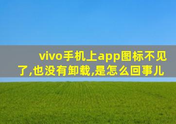 vivo手机上app图标不见了,也没有卸载,是怎么回事儿