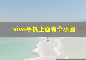 vivo手机上面有个小圈