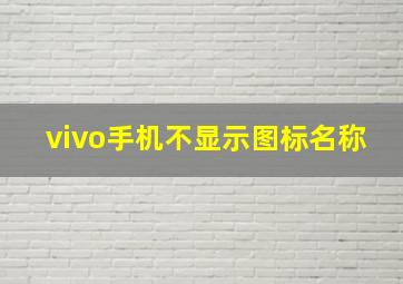 vivo手机不显示图标名称