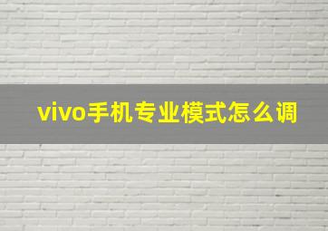 vivo手机专业模式怎么调