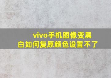 vivo手机图像变黑白如何复原颜色设置不了