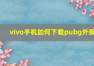 vivo手机如何下载pubg外服