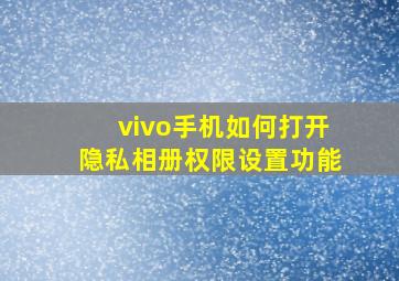 vivo手机如何打开隐私相册权限设置功能