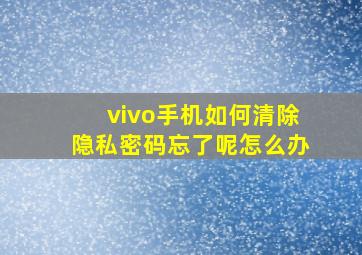 vivo手机如何清除隐私密码忘了呢怎么办